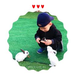 -萌宠亲子动物乐园(槐房万达店)