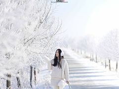 -雾凇岛