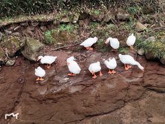 -溪口-滕头旅游景区