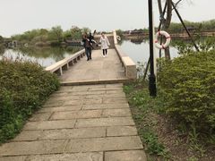 -杭州湾海上花田景区