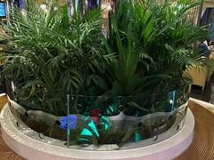 -润园四季椰子鸡火锅(海上世界店)