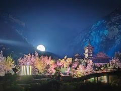 -禅宗少林·音乐大典