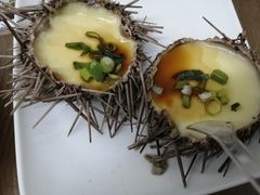 -海胆小馆(东北水饺·春柳店)