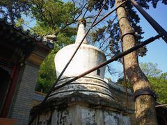 -潭柘寺景区