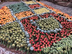 -南通洲际绿博园