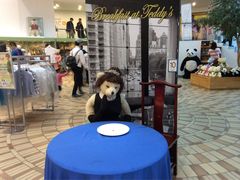 -济州岛泰迪熊博物馆