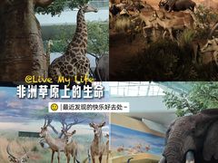 -武汉园博园(武汉自然博物馆)