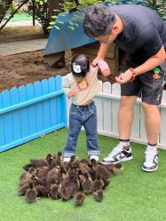 -萌宠亲子动物乐园(槐房万达店)