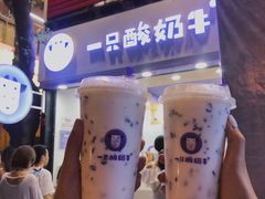 -一只酸奶牛(八一路店)