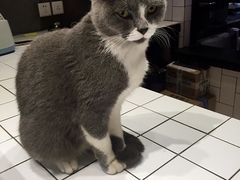 -MIKAKU(万达广场上海宝山店)