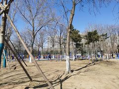-回龙观体育文化公园