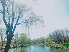 -自然谷恐龙园