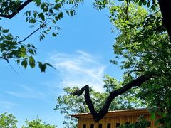 -栾川竹海野生动物园