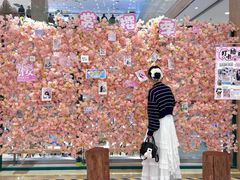-伊藤洋华堂(温江店)