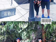景点-哈利波特魔法世界
