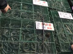 -荔城生鲜盛宴(番禺旗舰店)