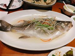 招牌清蒸鲈鱼-辣子鸡背(九龙山店)