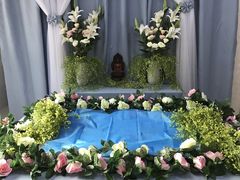 -彩虹桥宠物火化殡葬善终服务(金乐大厦店)