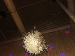 -The Tiki Bungalow提基小木屋酒吧