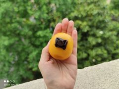 青团-5食堂