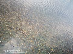-天鹅湖体育公园