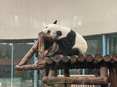 -天津市动物园