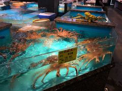 水产区-拉完海鲜大排档(温岭店)