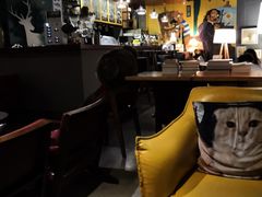 -咖法森林·咖啡  酒吧(天河店)