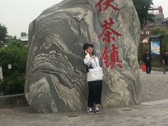 -茯茶镇