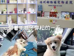 -动物缘宠物医院·骨科·猫科(西二环店)