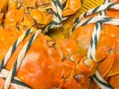 -蟹天蟹地农家菜·阳澄湖大闸蟹(浅水湾店)