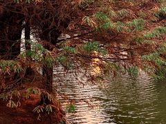 -捞渔河湿地公园