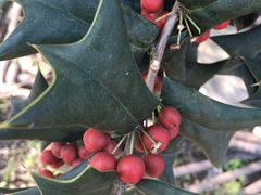 -陶祖圣境风景区