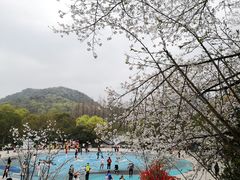 -杭州少年儿童公园