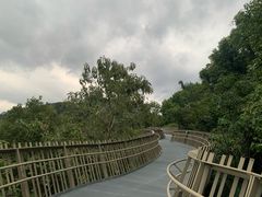 -福道