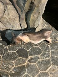 点击看大图 -Zoolung Zoolung动物主题公园(海信广场店)