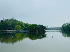 -江心屿景区