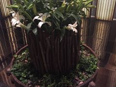 -上海璞麗酒店