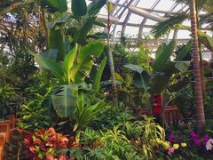 -北京植物园-展览温室