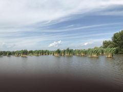 -白渔泡湿地公园