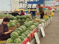 -重振华中蔬菜批发市场(重庆中路店)