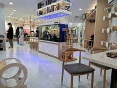 -喵园·猫主题咖啡厅·撸猫·猫咖(国贸店)