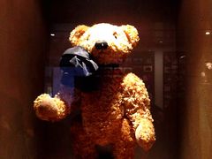 -济州岛泰迪熊博物馆