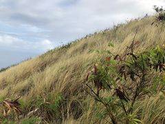 -钻石头山