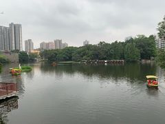 -荔湾湖公园