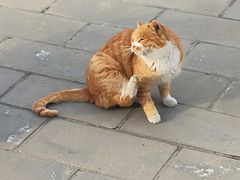 -大钟寺古钟博物馆