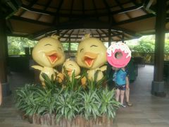 可爱的泡泡鸭-厦门日月谷温泉渡假村