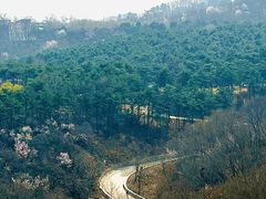 -北京西山国家森林公园