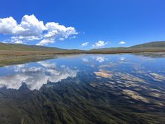 -郭莽湿地