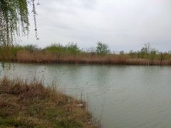 -南湖国家城市湿地公园